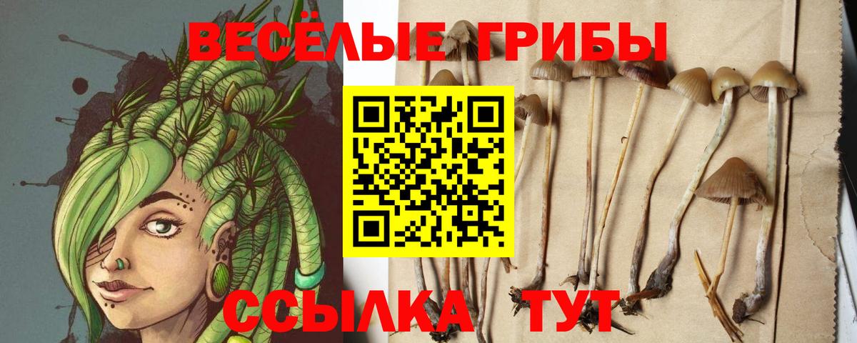 Псилоцибиновые грибы мухоморы  Вход с VPN  Мирный 