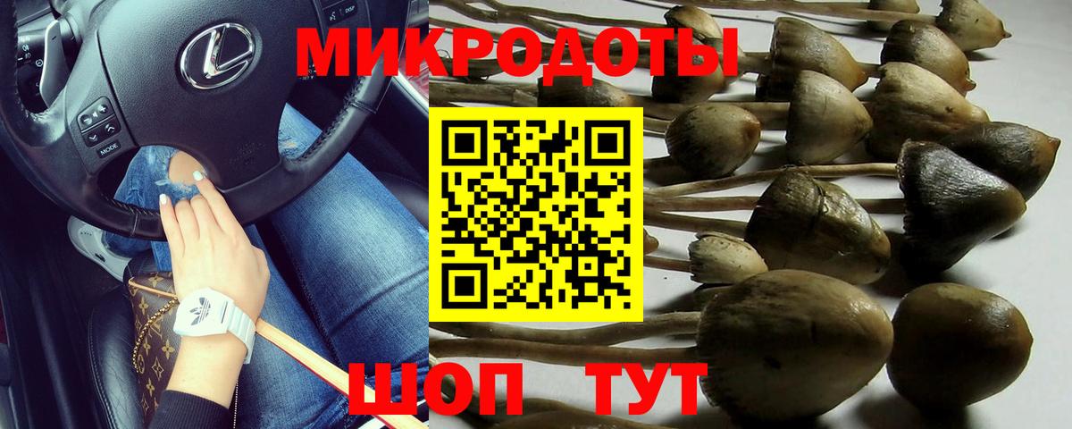 Псилоцибиновые грибы мухоморы Мирный