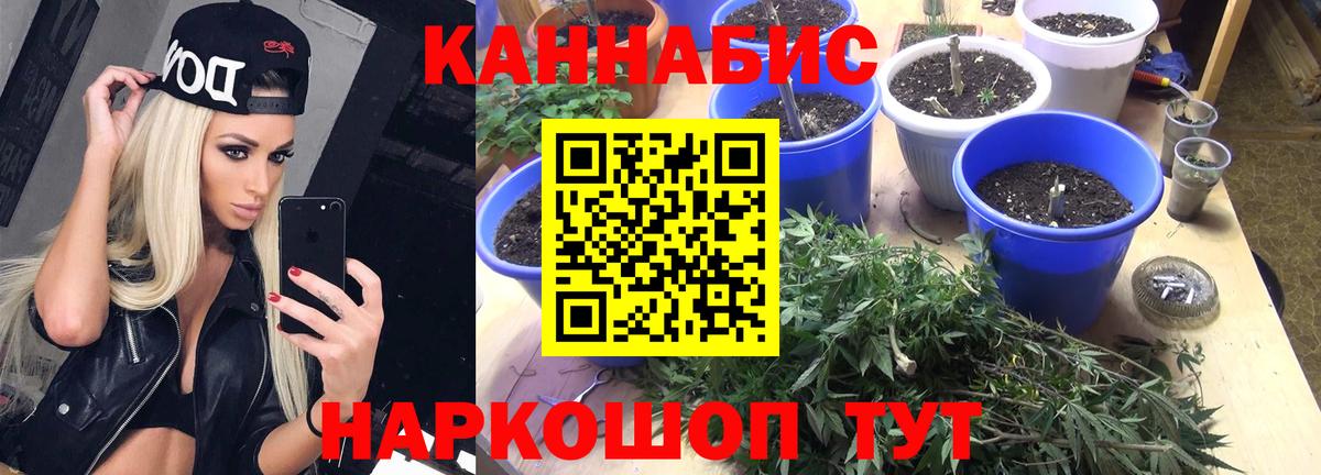 Канабис ГИДРОПОН  Марихуана ГИДРОПОН  Бошки Шишки план  Мирный  Вход с VPN 