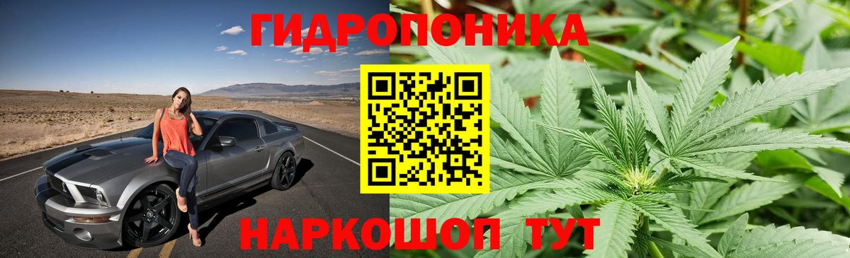 Конопля VHQ Мирный